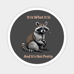 Funny Racoon Meme Magnet